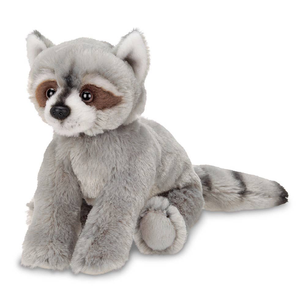 Lil' Rocko the Raccoon