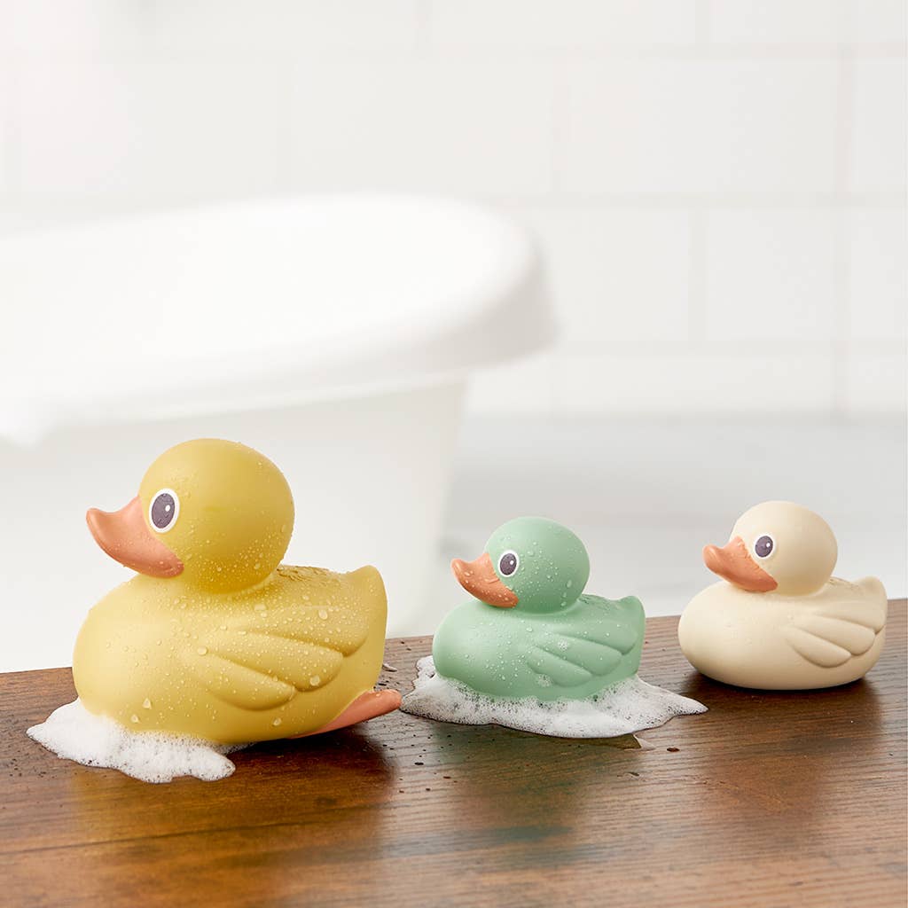 Ducky Family- BathToy