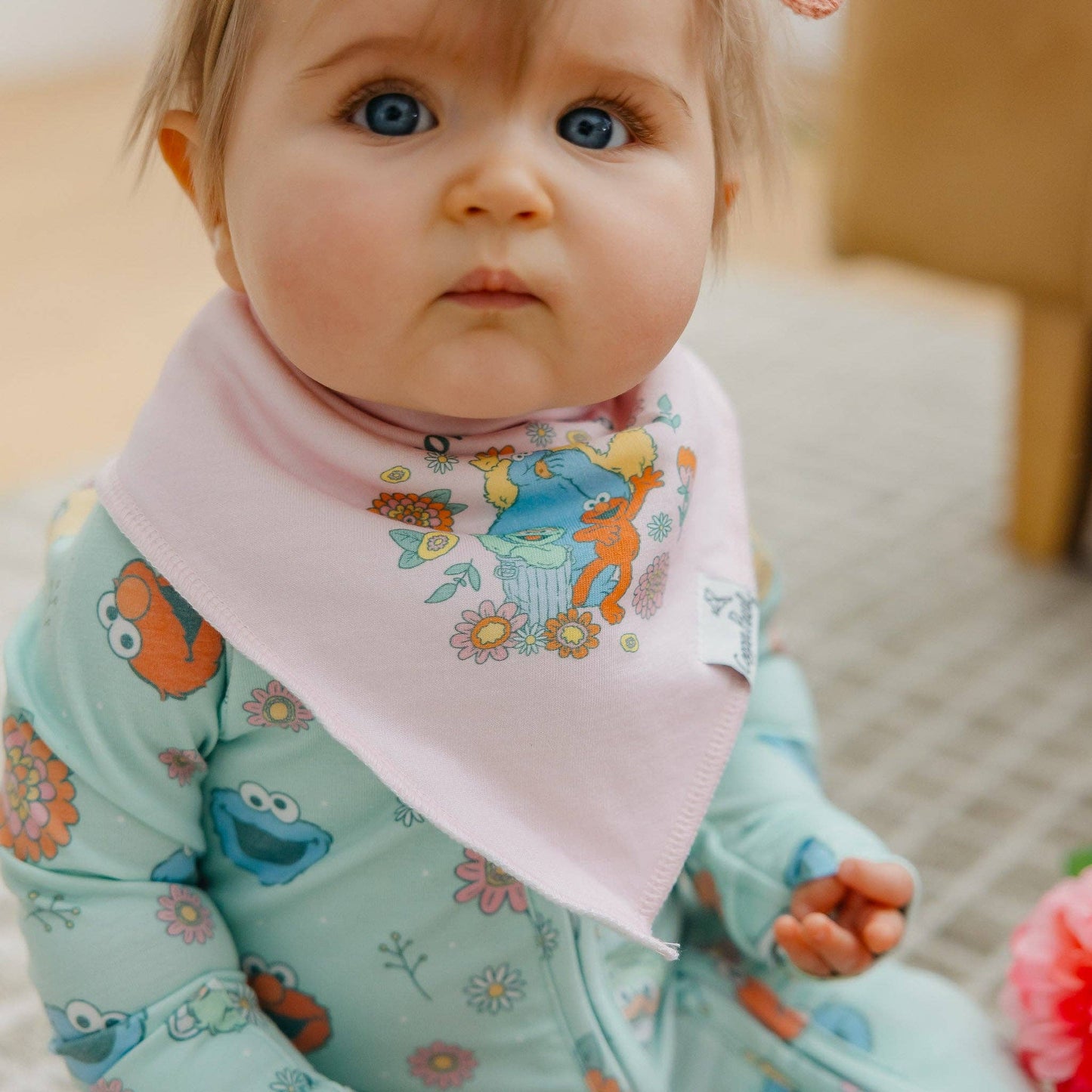 Baby Bandana Bibs - Sesame Street Retro Floral (4-pack)
