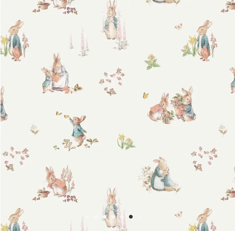 Peter Rabbit Muslim Lush Mini Blankets