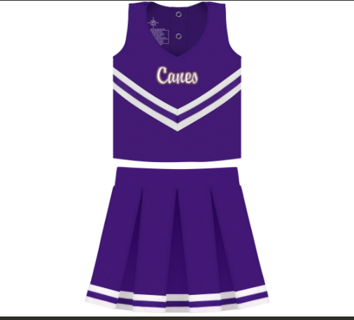 Canes Cheerleader Bodysuit Dress