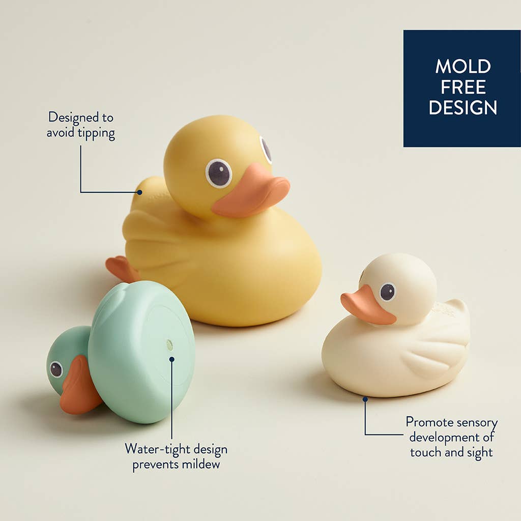 Ducky Family- BathToy