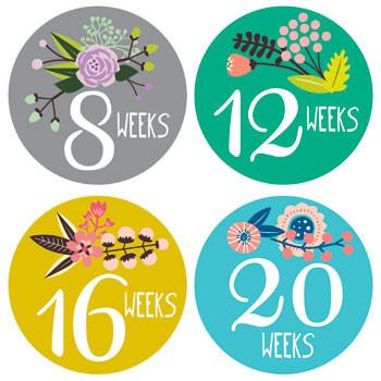 Little Artist Belly Stickers