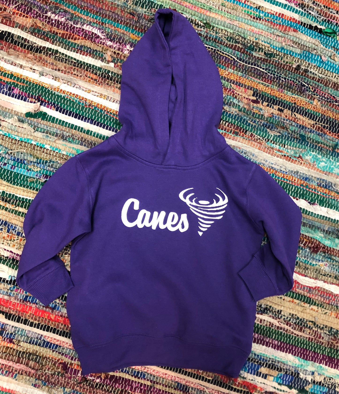 Canes sweatshirt