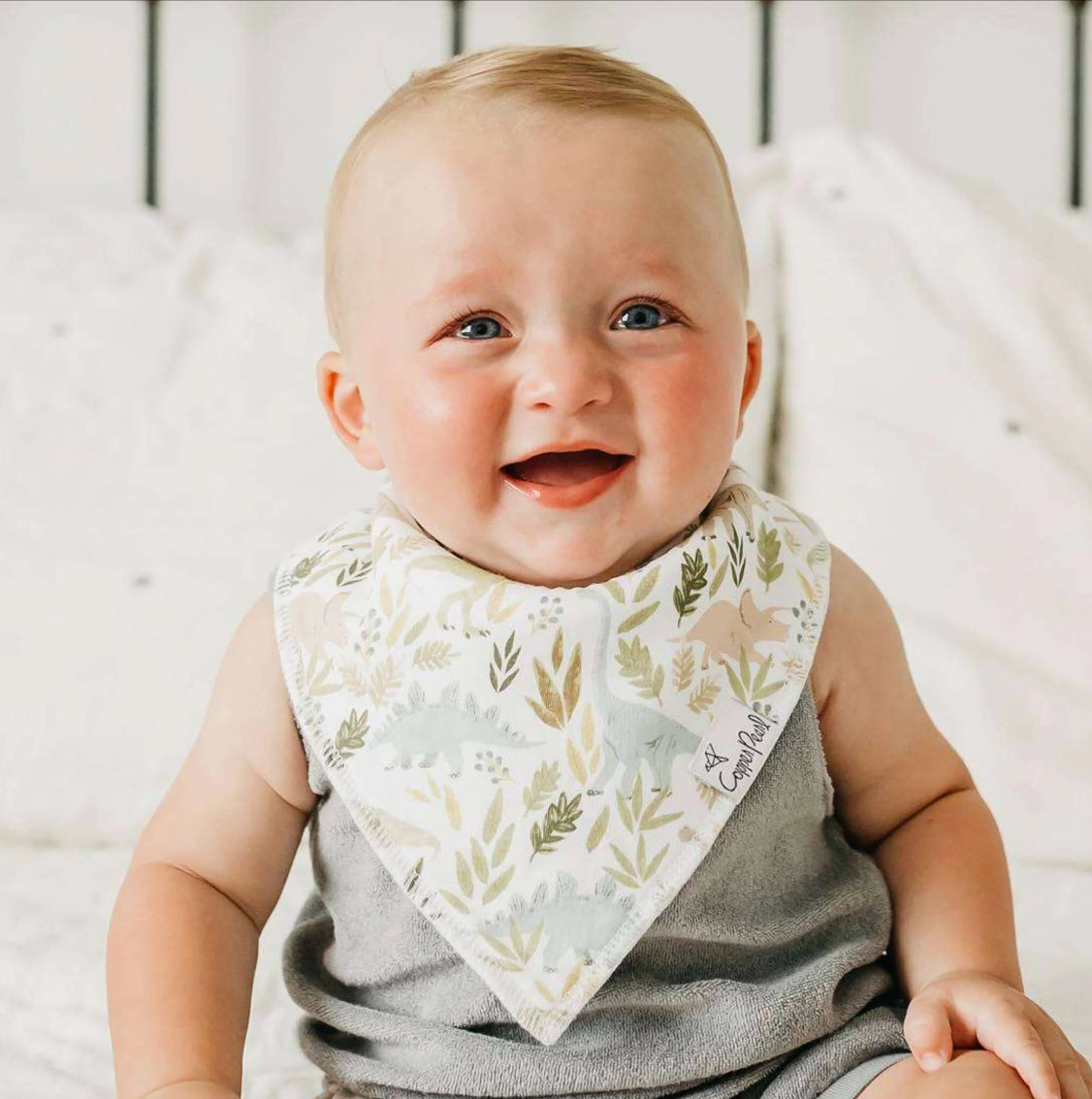 Rex Bandana Bib Set (4-pack)