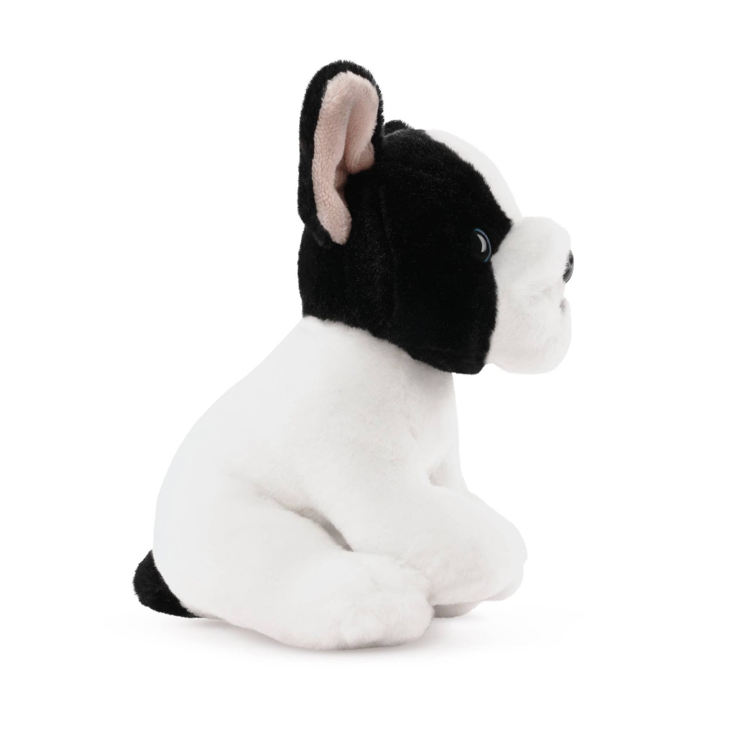 French Bulldog Puppy
