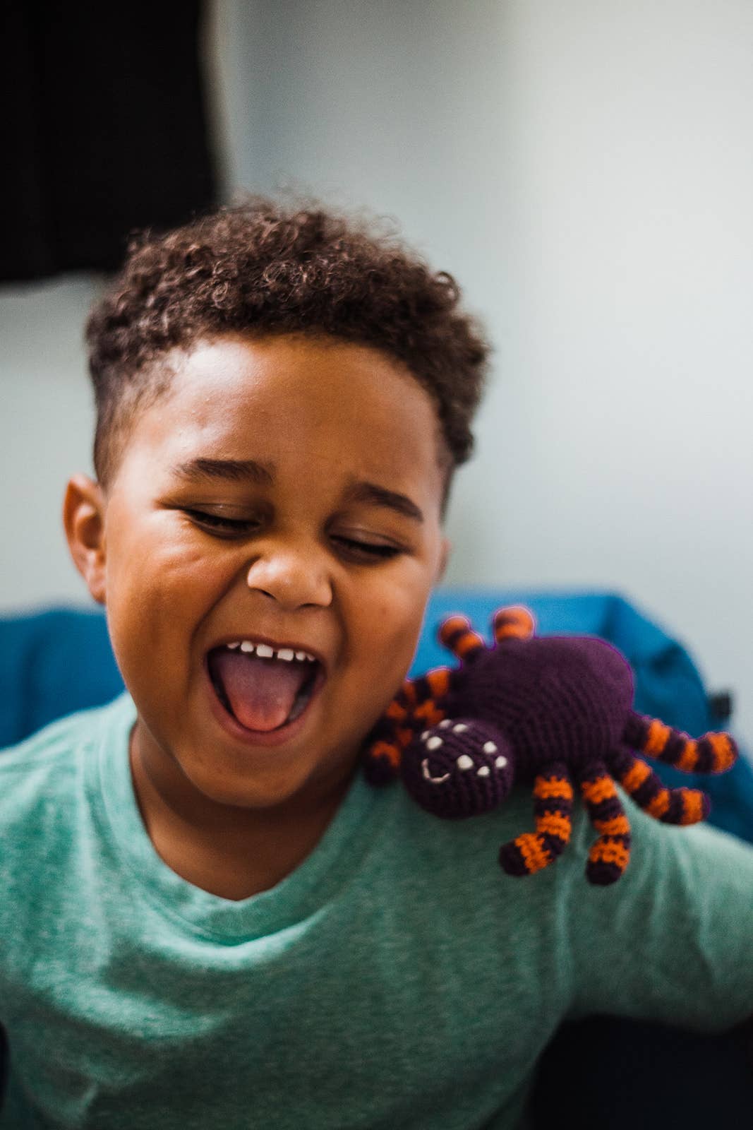 Spider Rattle