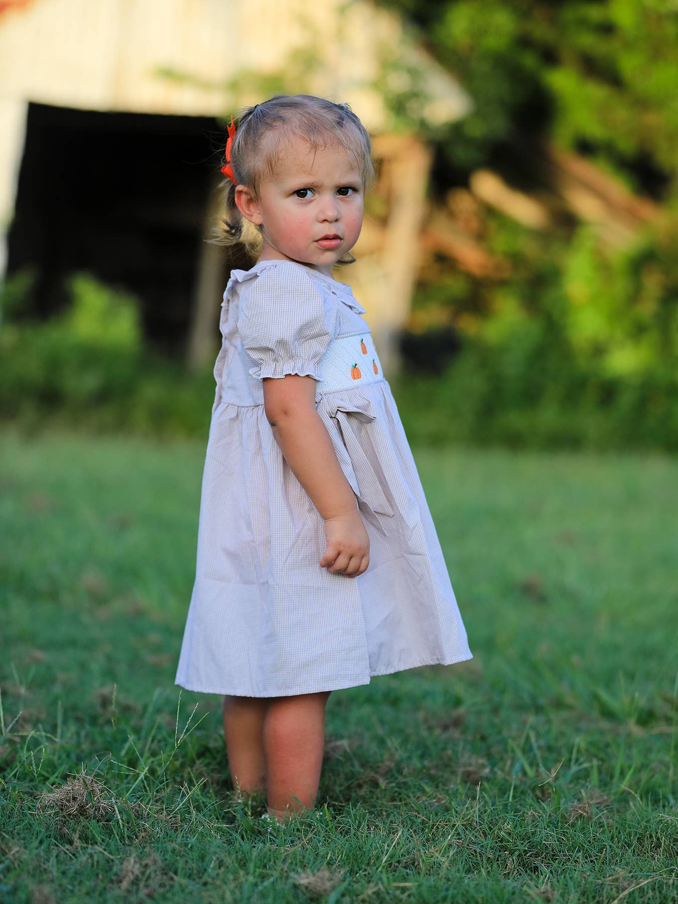 Pumpkin Embroidery Smock Plaid Girls Dress