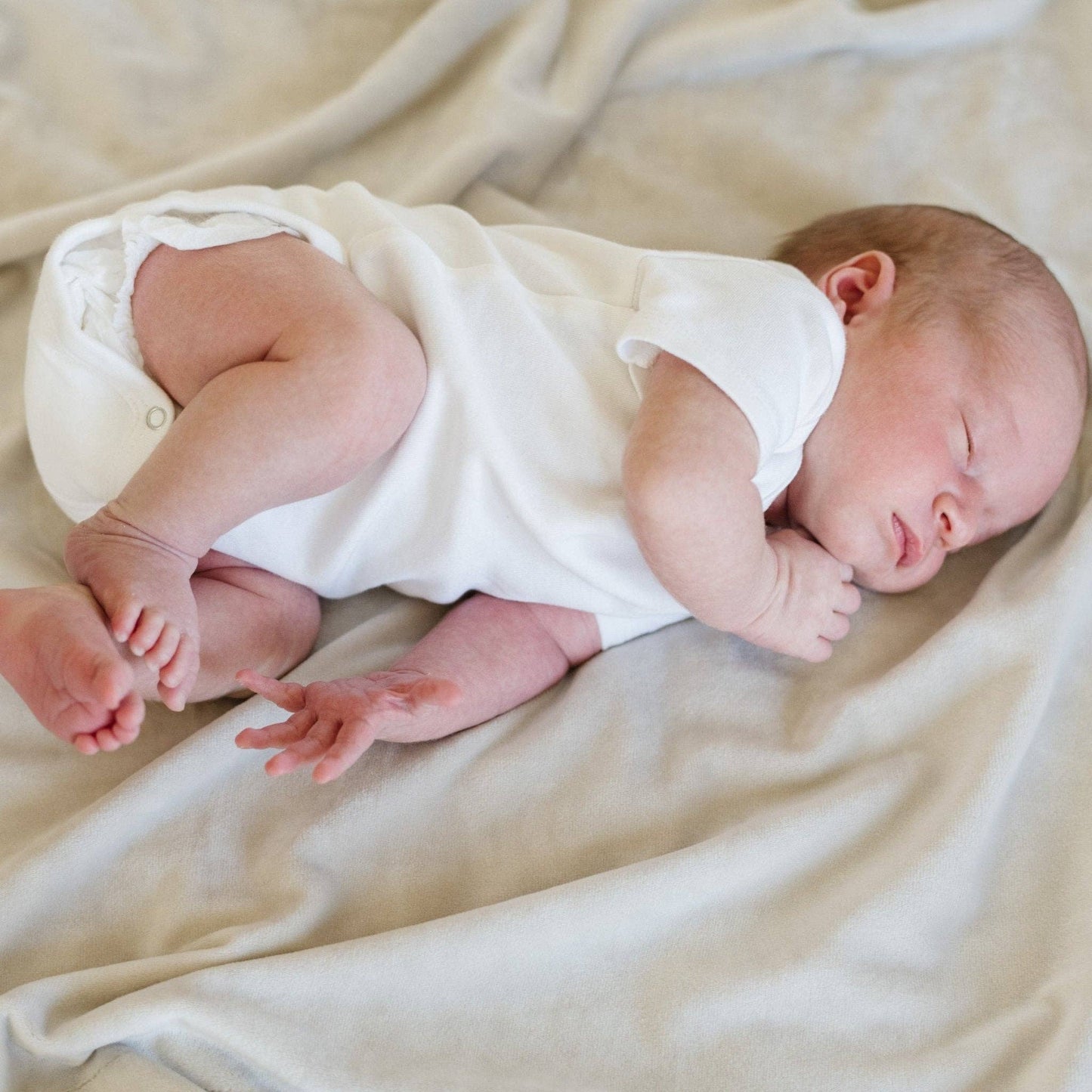 Saranoni - MINKY STRETCH RECEIVING BLANKETS: Farm Animals