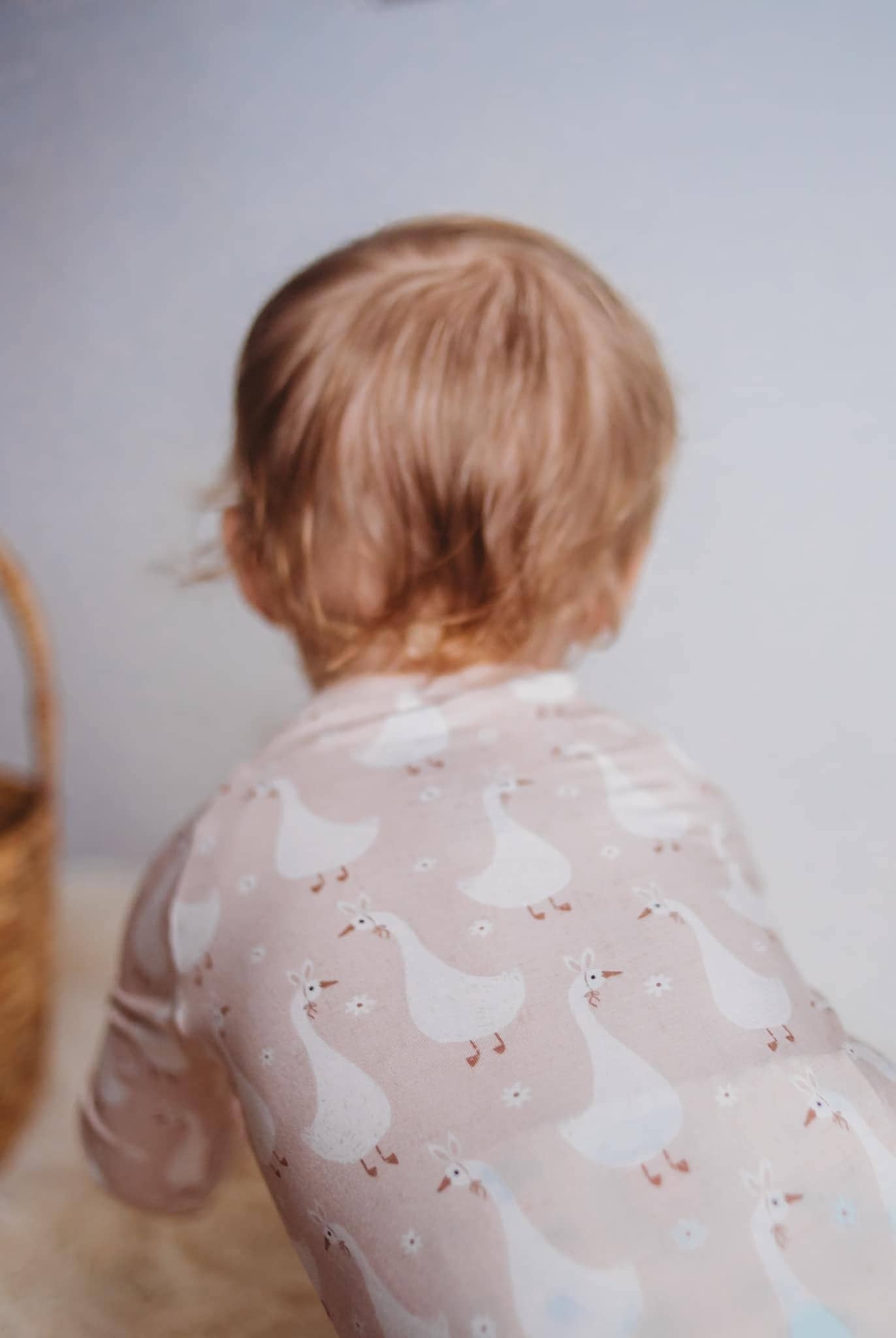 Silly Goose on the Loose Bamboo Zippy Romper: