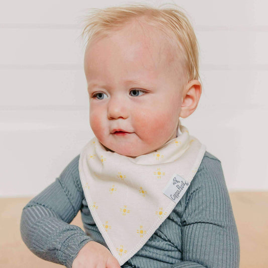 Baby Bandana Bibs - Santa Fe (4-pack)