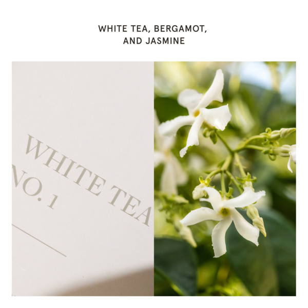White Tea Home Diffuser Scent Refill