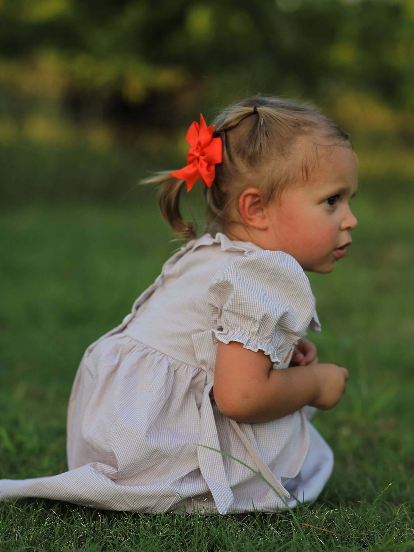 Pumpkin Embroidery Smock Plaid Girls Dress