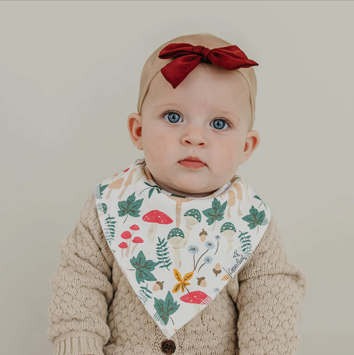 Ivy Bandana Bib Set (4-pack)