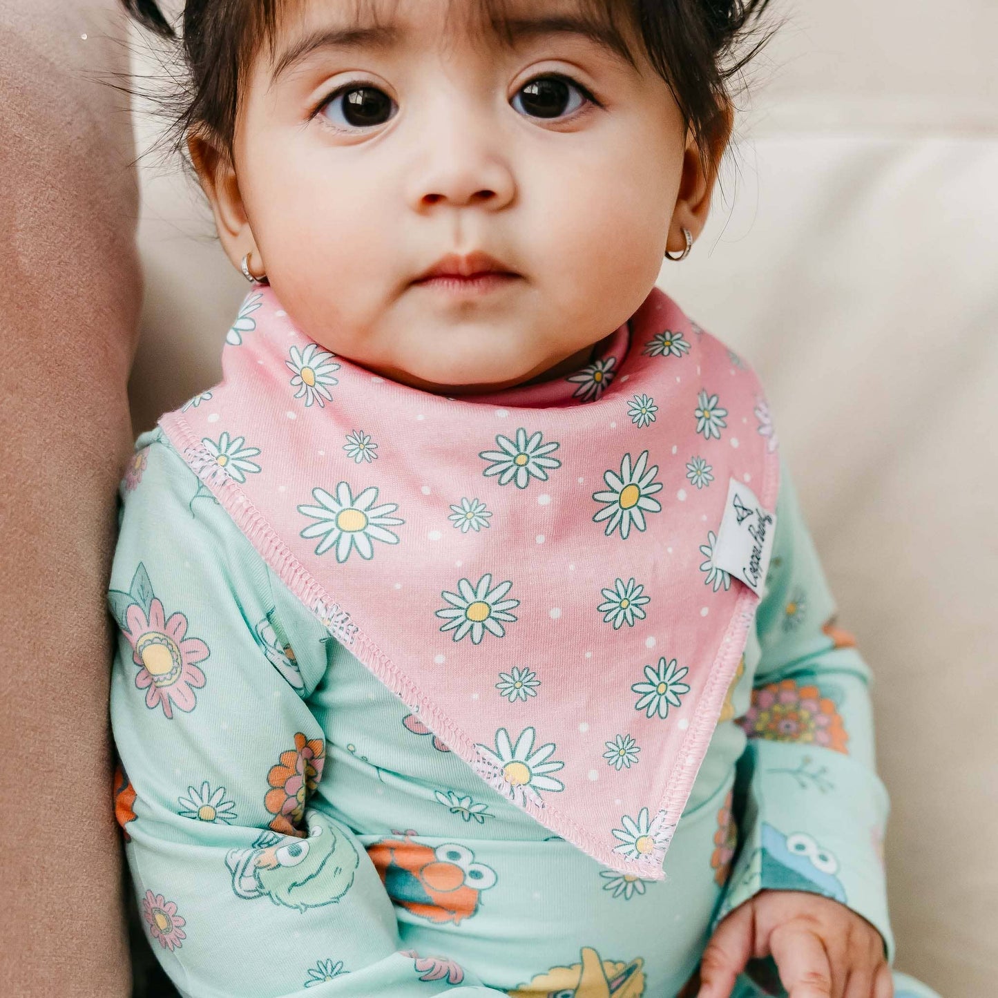 Baby Bandana Bibs - Sesame Street Retro Floral (4-pack)