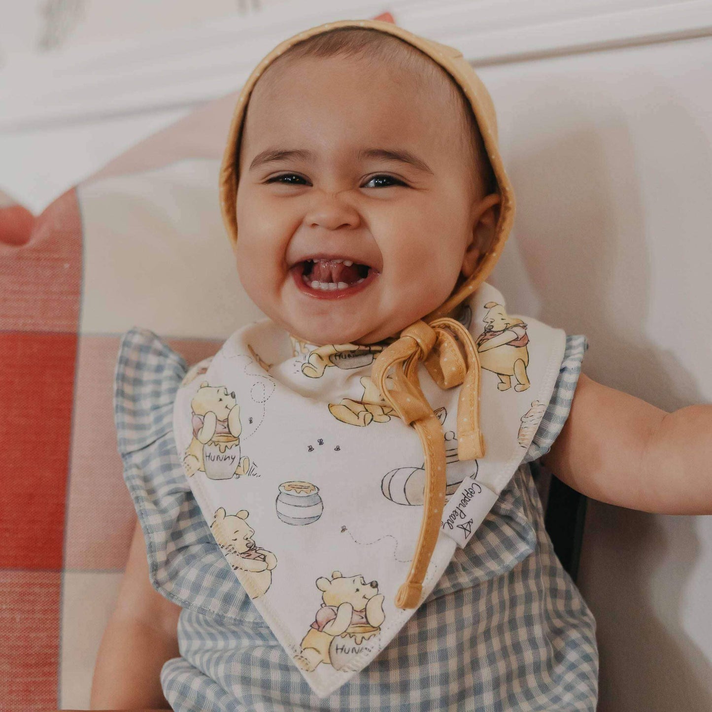 Baby Bandana Bibs - Hundred Acre Wood
