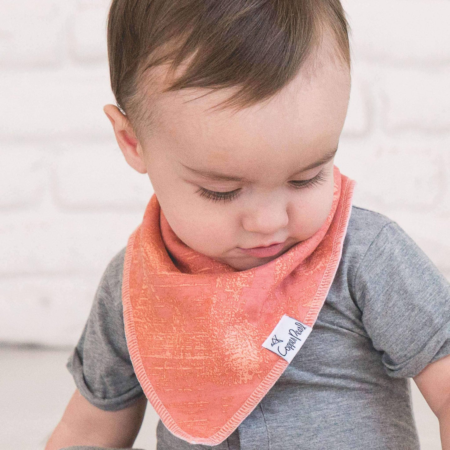 Baby Bandana Bibs - Bison