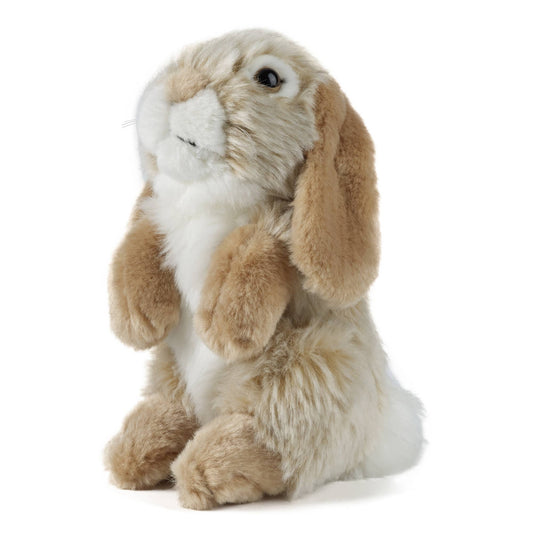 Lop Ear Rabbit Plush Stuffed Toy