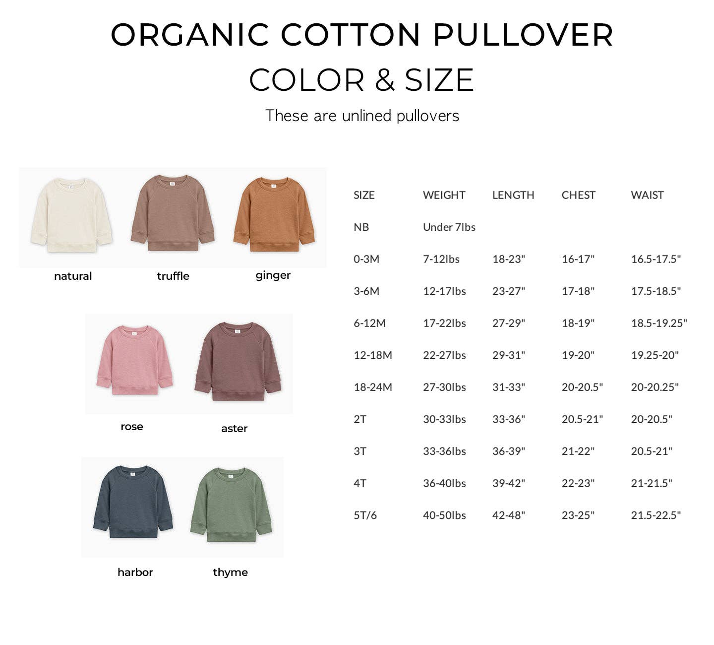Big Brother Organic Cotton Pullover - Harbor