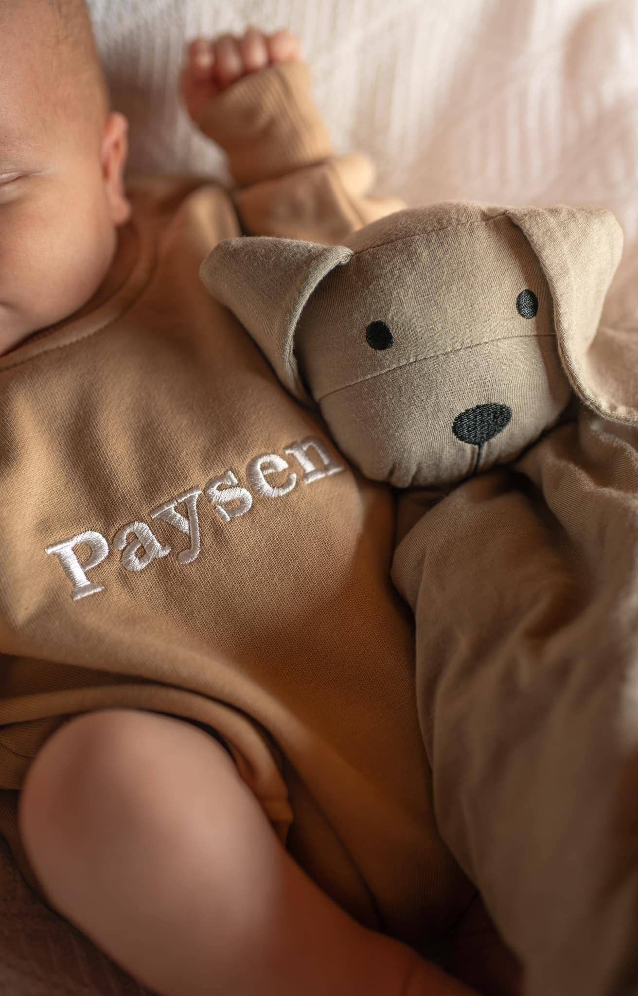 Cozy Bamboo Puppy Lovey Blanket