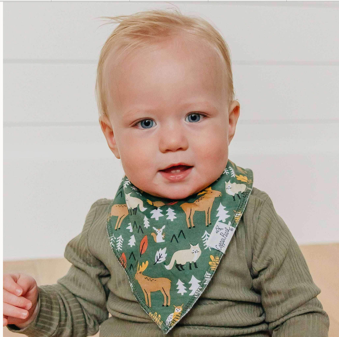 Atwood Bandana Bib Set (4-pack)