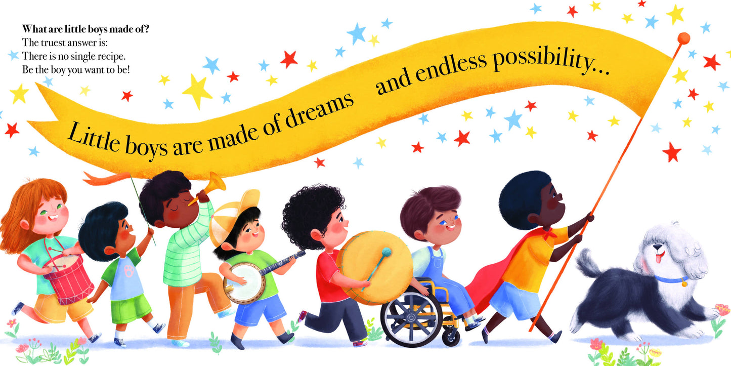 What Little Boys Are Made Of Book