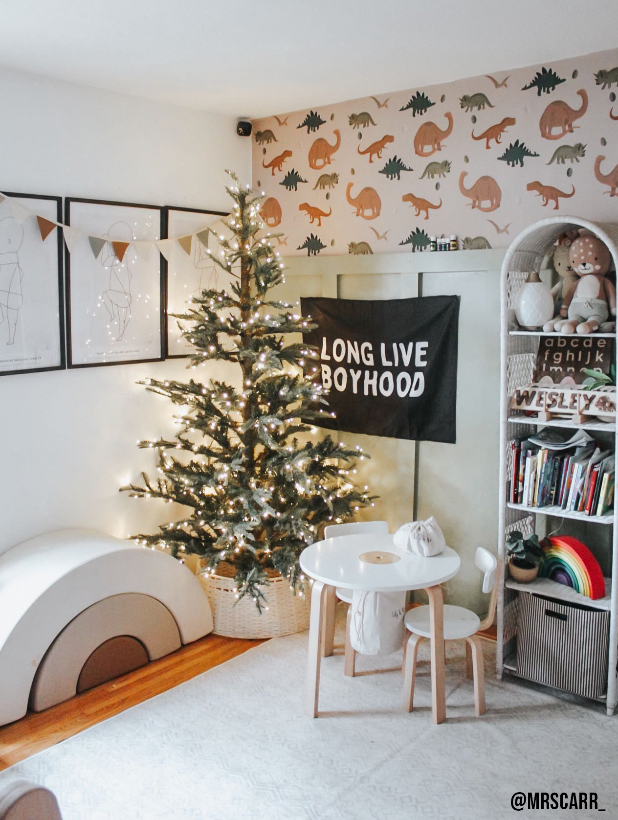 Long Live Boyhood Banner: Original 36x26"