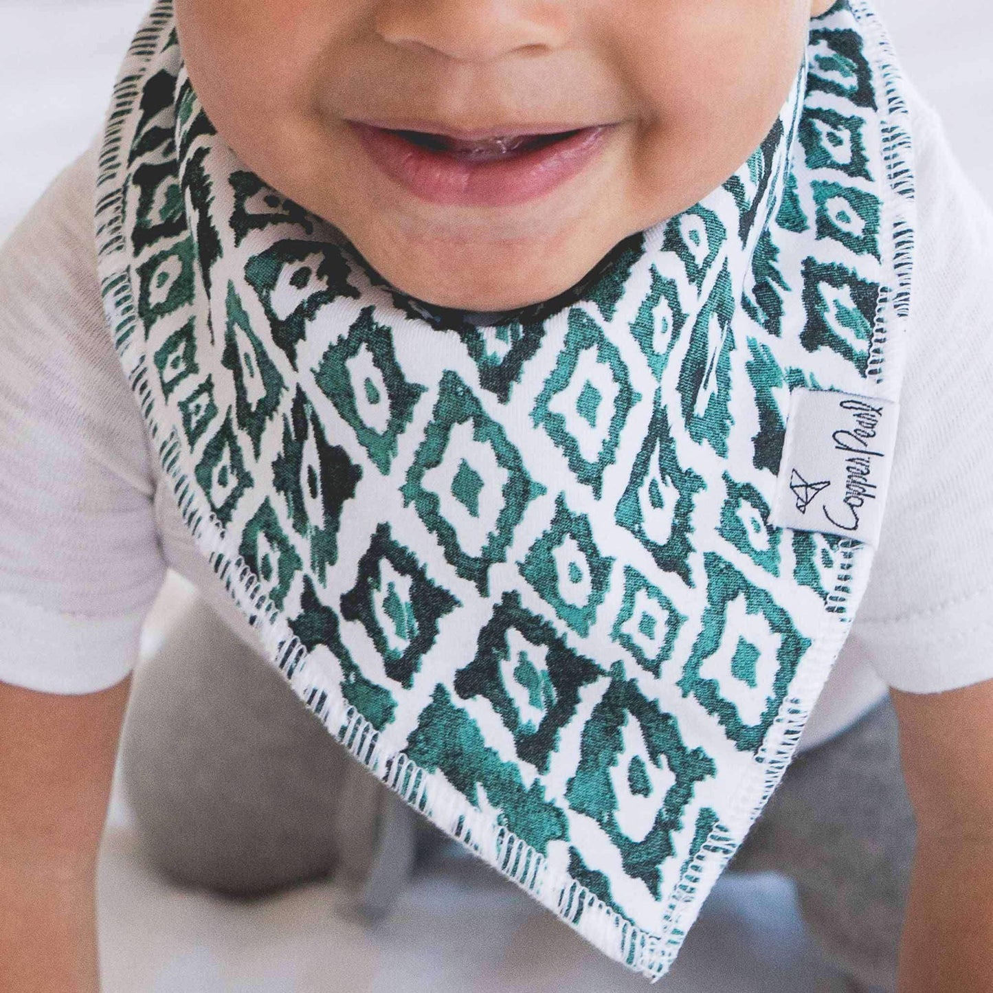 Baby Bandana Bibs - Bison