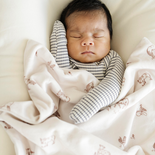 Saranoni - MINKY STRETCH RECEIVING BLANKETS: Farm Animals