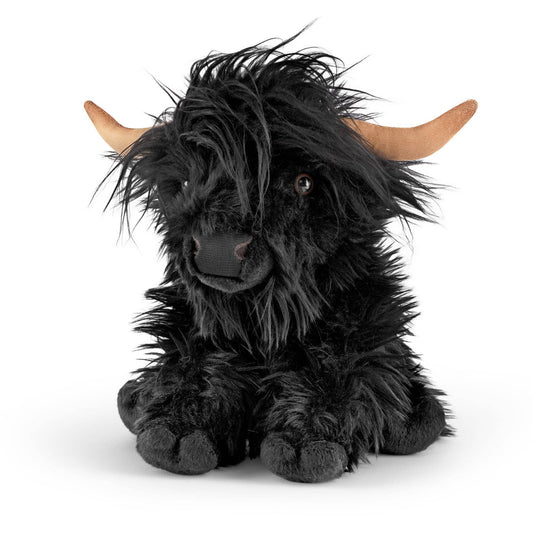 Black Highland Cow